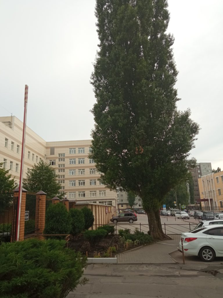 Воронеж
